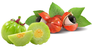 Guarana și Garcinia Cambogia