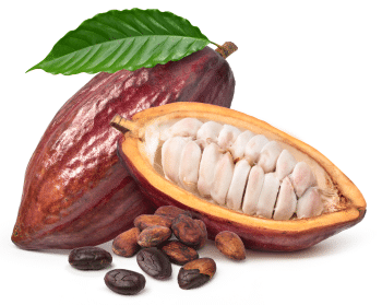 Pudră de cacao